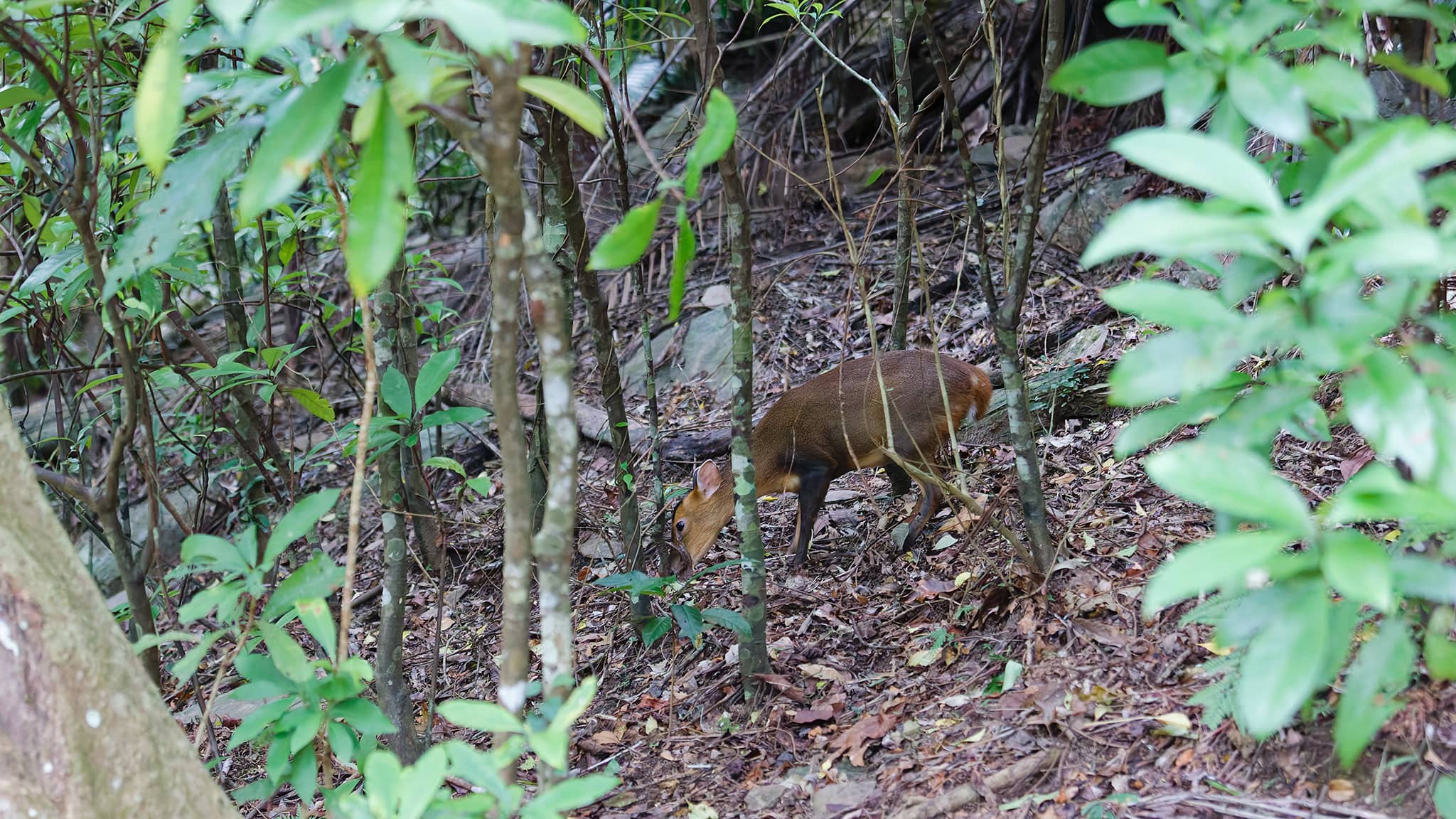 07 - Chishang (13).jpg